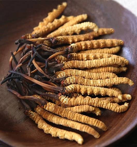 The extract of Cordyceps sinensis has been confirmed by empirical medical research to have two-way regulation function on cellular immunity and humoral immunity.Image Source