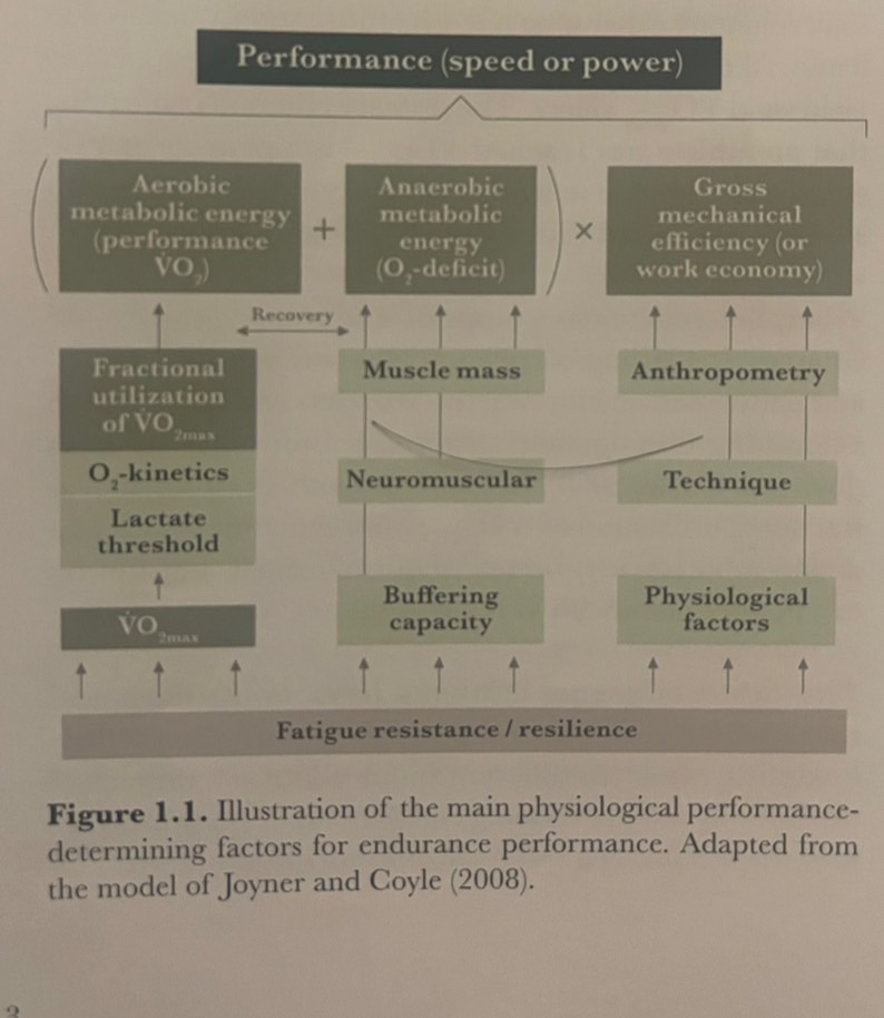 圖片來自書籍: Endurance Training - Science and Practice (2nd edition)