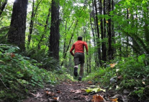 台北有一條 Road To Trail 你跑過了沒