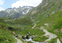 當你跑完超馬後,身體發生了什麼變化?